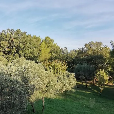 Mas Des Oursons - Maison d'hôtes *