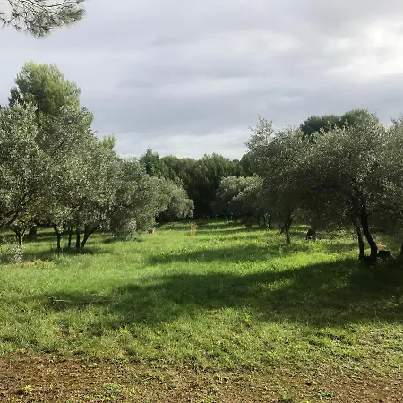 Maison d'hôtes Mas Des Oursons -