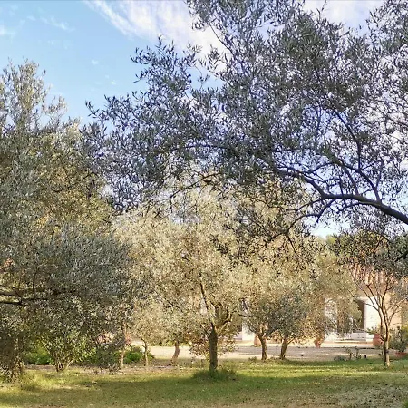 Mas Des Oursons - Arles