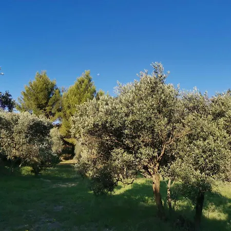 Maison d'hôtes Mas Des Oursons - *